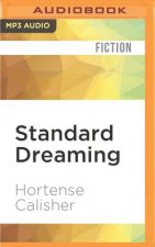 Standard Dreaming: A Novella