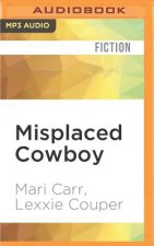 MISPLACED COWBOY             M