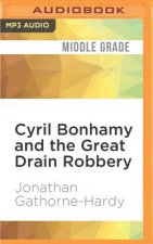 Cyril Bonhamy and the Great Drain Robbery