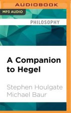 COMPANION TO HEGEL          3M