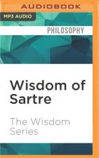 Wisdom of Sartre