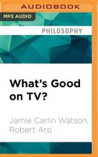 What's Good on Tv?: Understanding Ethics Through Television