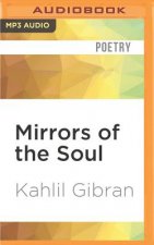 Mirrors of the Soul