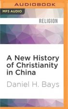 NEW HIST OF CHRISTIANITY IN  M