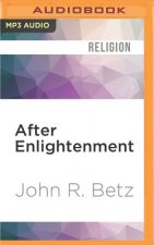 AFTER ENLIGHTENMENT         2M