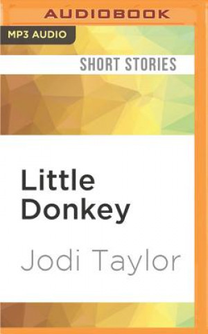 Little Donkey: A Short Story