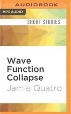 WAVE FUNCTION COLLAPSE       M