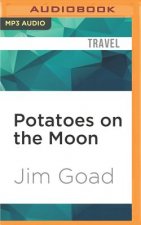 POTATOES ON THE MOON         M