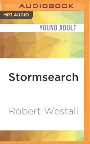 Stormsearch