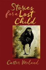 STORIES FOR A LOST CHILD