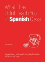 What They Didn't Teach You In Spanish Class