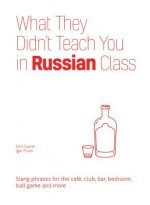 What They Didn't Teach You In Russian Class