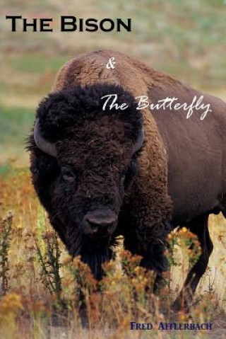 BISON & THE BUTTERFLY