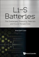 Li-s Batteries: The Challenges, Chemistry, Materials, And Future Perspectives