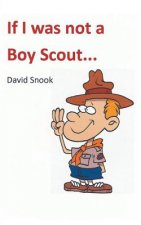If I Was Not a Boy Scout