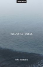 INCOMPLETENESS