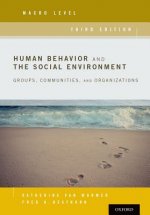 Human Behavior and the Social Environment, Macro Level