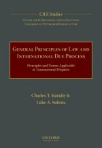 General Principles of Law and International Due Process