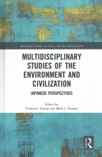 Multidisciplinary Studies of the Environment and Civilization