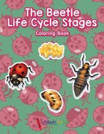 Beetle Life Cycle Stages Coloring Book
