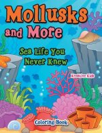 Mollusks and More