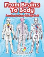 From Brains to Body