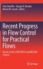 Recent Progress in Flow Control for Practical Flows