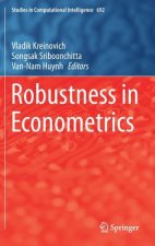 Robustness in Econometrics