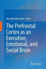 Prefrontal Cortex as an Executive, Emotional, and Social Brain