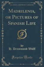 Madrilenia, or Pictures of Spanish Life (Classic Reprint)