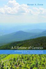 Lifetime of Genesis