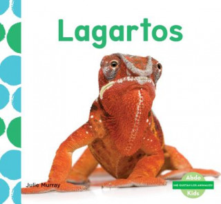 Lagartos/ Lizards
