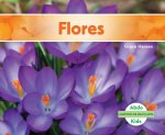 Flores/ Flowers