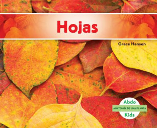 Hojas/ Leaves