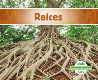 Raíces/ Roots