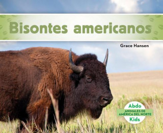 Bisontes americanos/ American Bison