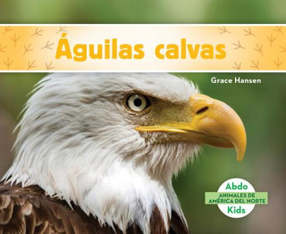 Águilas calvas/ Bald Eagles