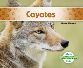 Coyotes/ Coyotes