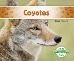 Coyotes/ Coyotes