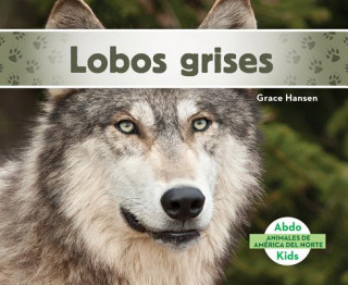 Lobos grises/ Gray Wolves