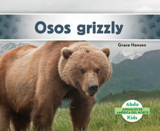 Osos grizzly/ Grizzly Bears