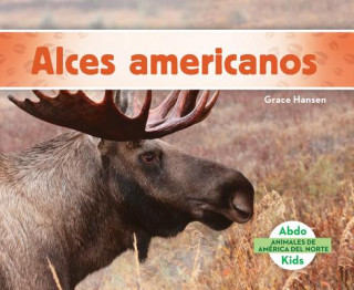 Alces americanos/ Moose