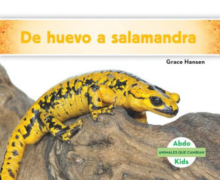 De huevo a salamandra/ Becoming a Salamander