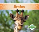 Jirafas/ Giraffes