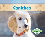 Caniches/ Poodles