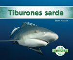 Tiburones sarda/ Bull Sharks