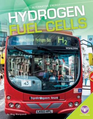 Hydrogen Fuel Cells