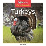 Turkeys