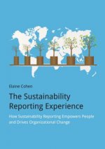 Sustainability Reporting Experience