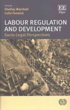 Labour Regulation and Development - Socio-Legal Perspectives